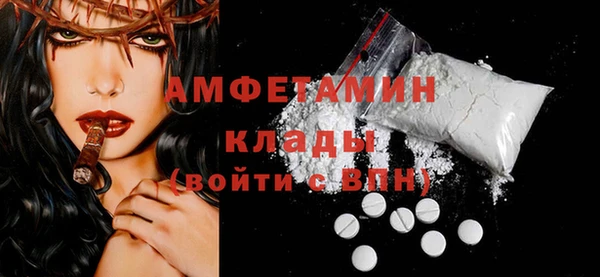 шишки Белоозёрский