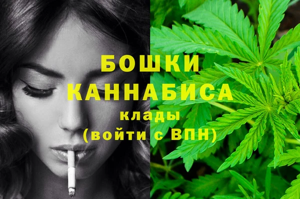 PSILOCYBIN Беломорск