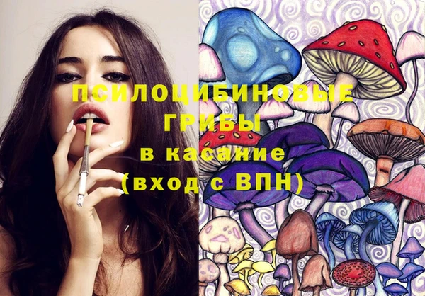 прущая мука Белокуриха
