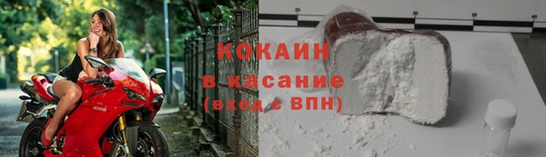 шишки Белоозёрский