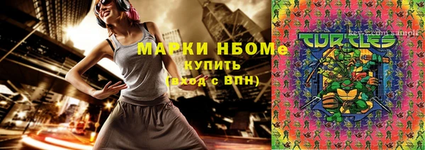 шишки Белоозёрский