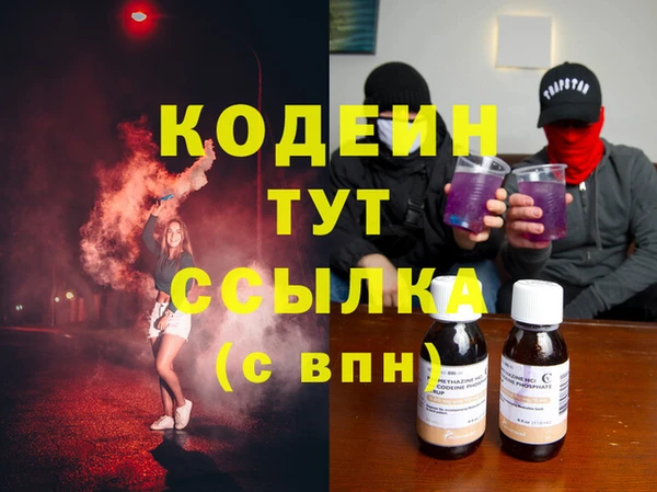 шишки Белоозёрский