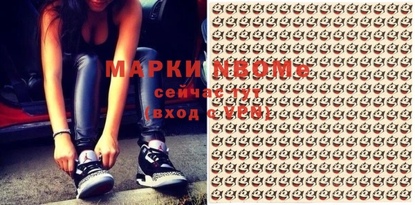 шишки Белоозёрский
