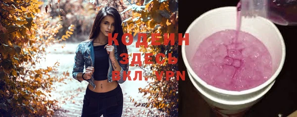 шишки Белоозёрский