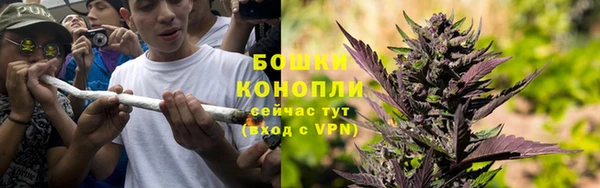 шишки Белоозёрский