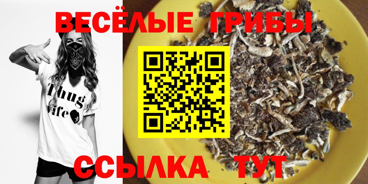 Галлюциногенные грибы мухоморы Великий Устюг